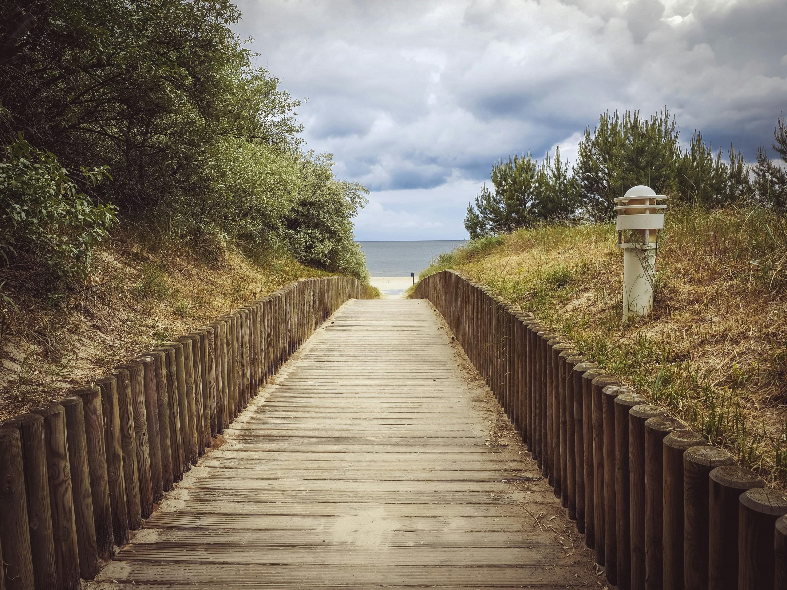 navigate new path